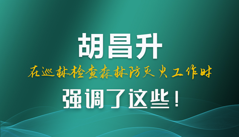 图解|胡昌升在巡林检查森林防灭火工作时强调了这些!
