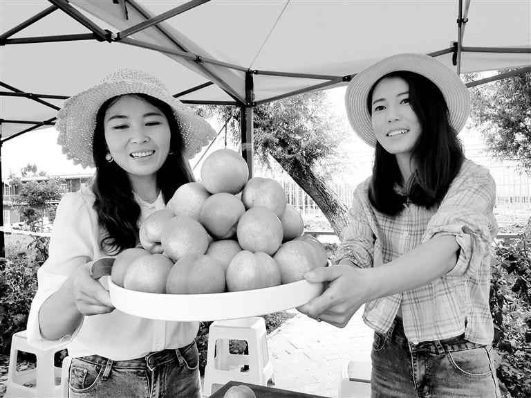 甘肃临夏县第三届采摘节开幕