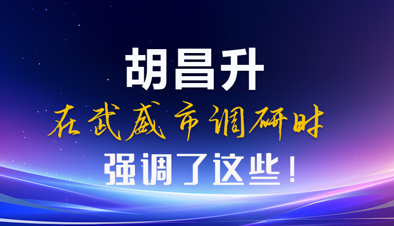 图解|胡昌升在武威市调研时强调了这些！