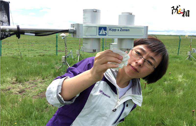 世界屋脊上的巾帼情怀