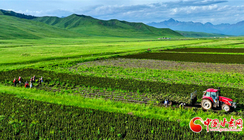 交旅融合经典品牌与精品路线