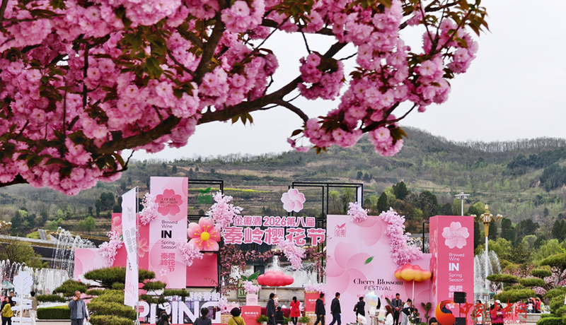 “樱”你而美，共赴金徽春日之约