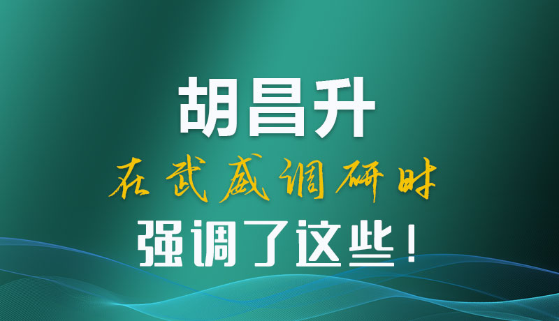图解|胡昌升在武威调研时强调了这些!