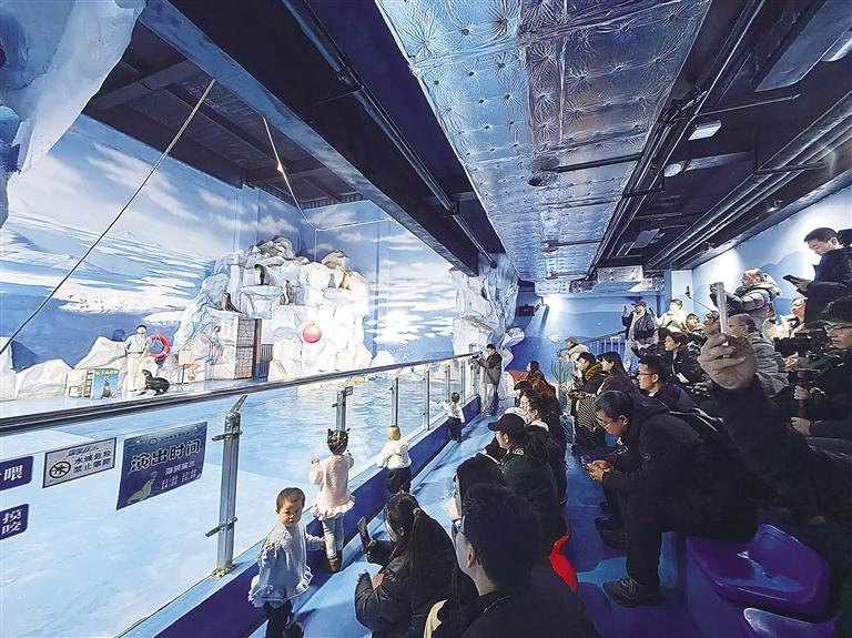 返程路畅暖意浓