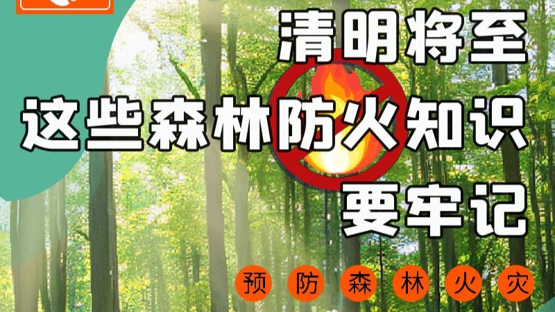 【甘快看】图解|紧绷“安全弦”！清明，这些森林防火知识要牢记