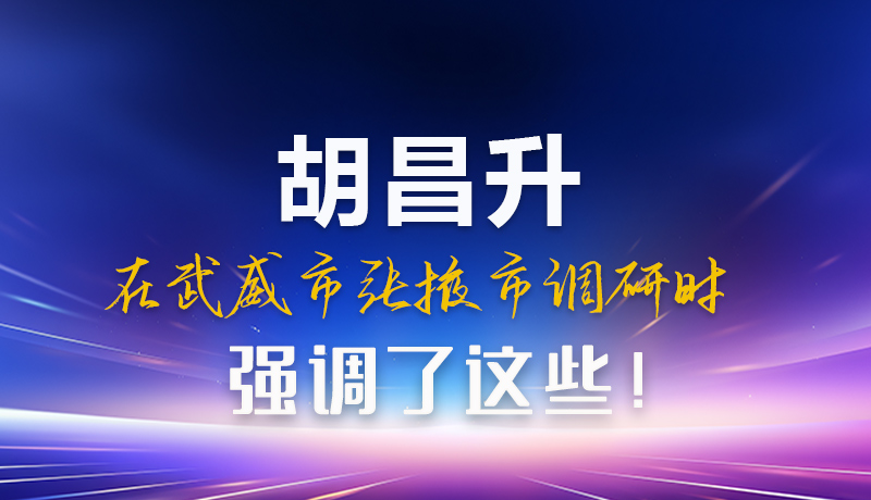 图解|胡昌升在武威市张掖市调研时强调这些！