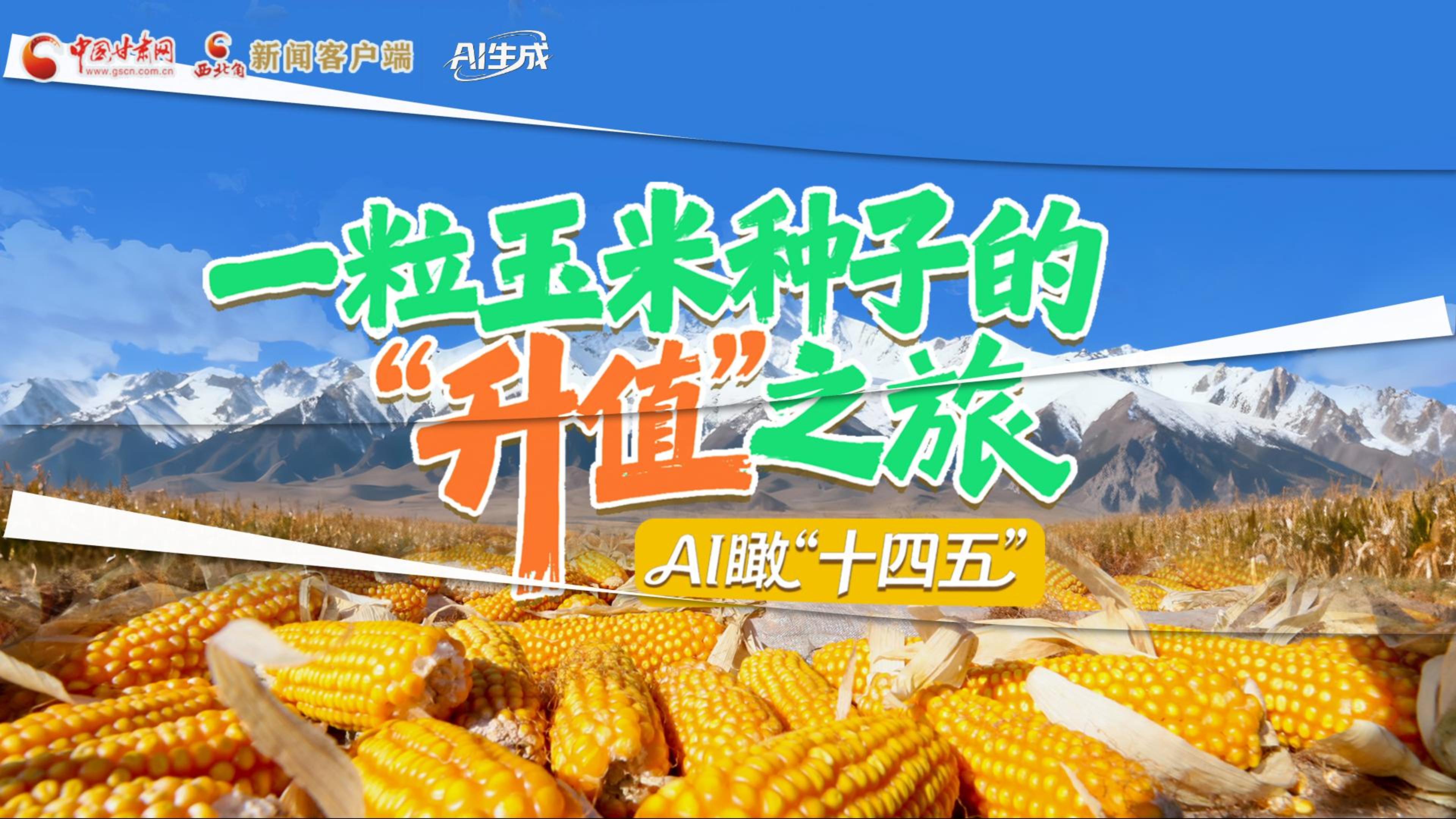 【甘快看】AI瞰甘肃“十四五”|张掖:一粒玉米种子的“升值”之旅