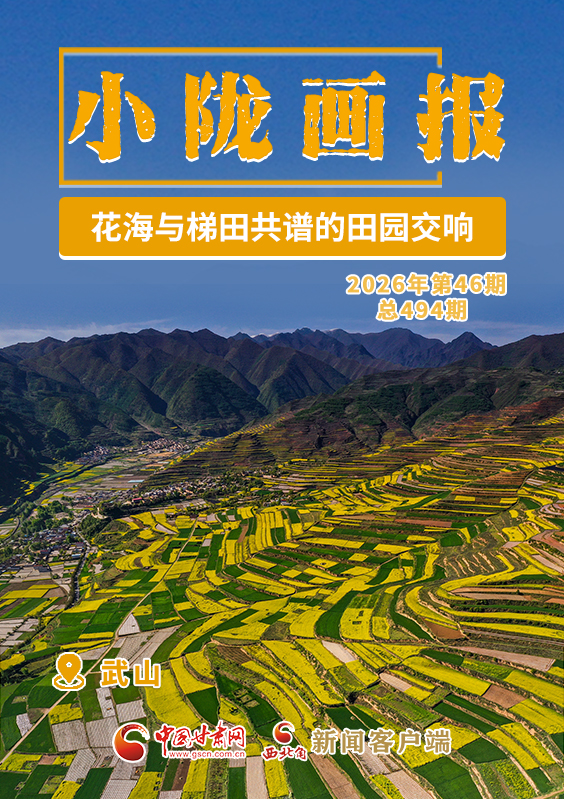 【小陇画报·494期】武山:花海与梯田共谱的田园交响