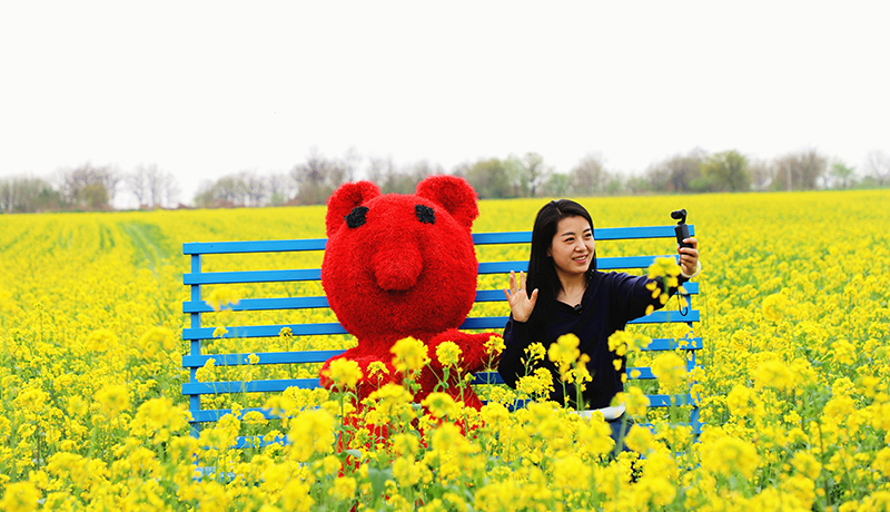 宁县：花海人气旺