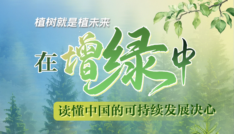 【理响中国 话陇点睛】植树就是植未来,在增绿中读懂中国的可持续发展决心
