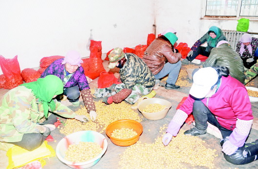 定西：“洋芋蛋”变成“金蛋蛋”